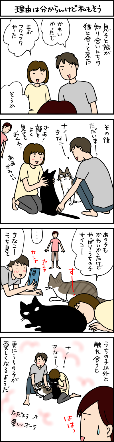 黒猫ナノとキジシロ猫きなこの4コマ猫漫画