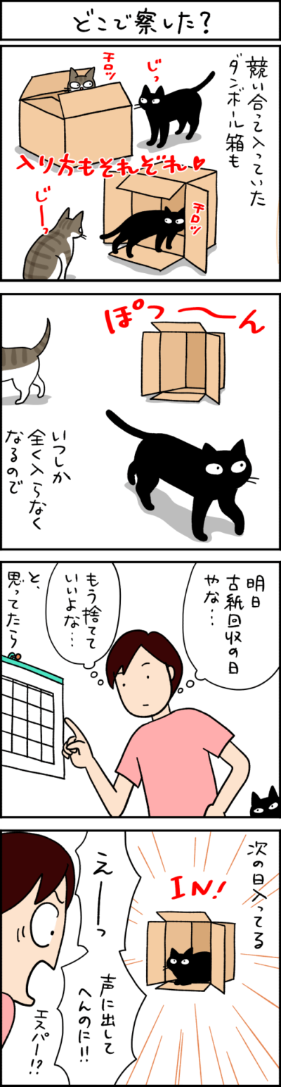 黒猫ナノとキジシロ猫きなこの4コマ猫漫画