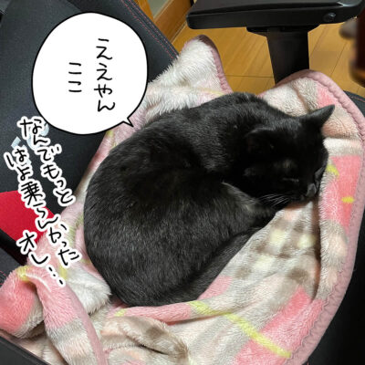 椅子の上の黒猫ナノ