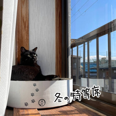 出窓でまったりする黒猫