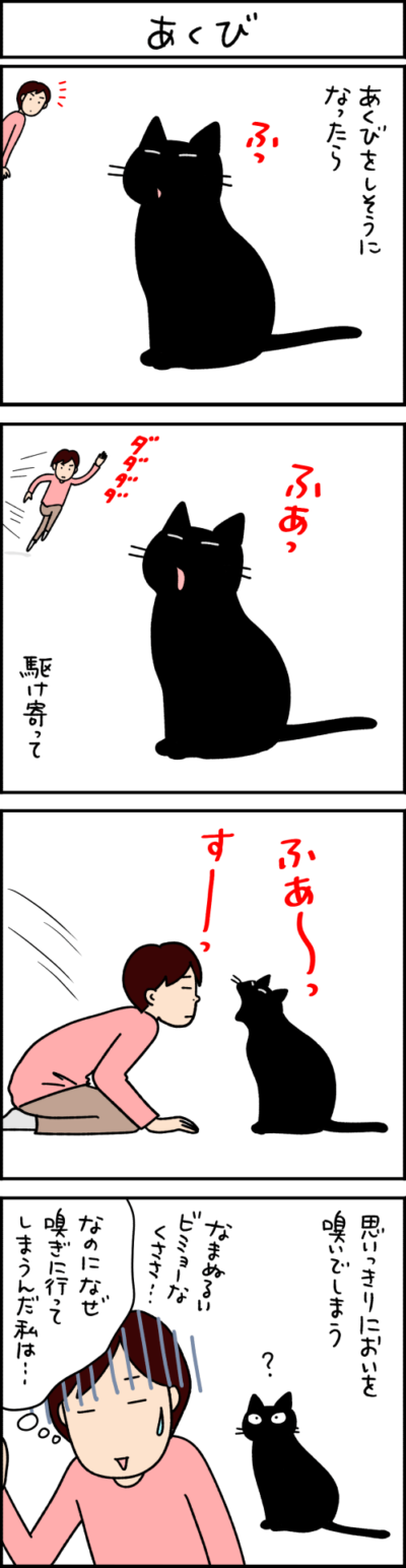 黒猫の漫画