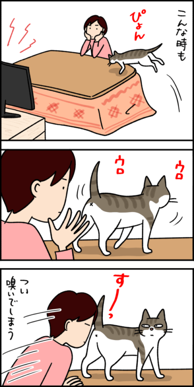 猫漫画