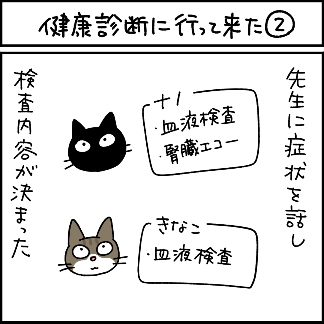 健康診断に行って来た② | ねこ漫画ナノトクラス