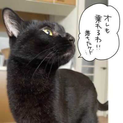 黒猫ナノ