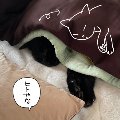 布団で寝る黒猫