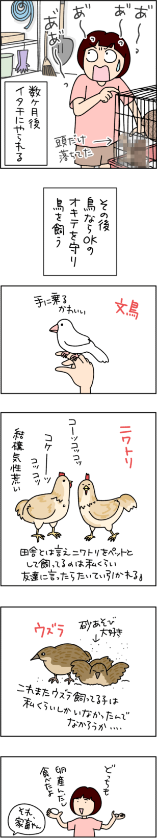 ねこ漫画