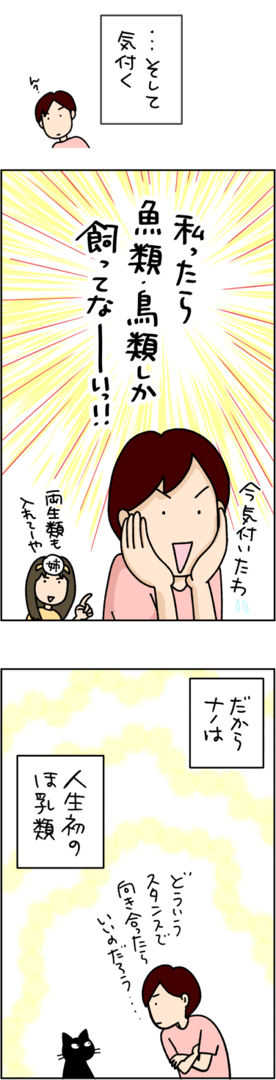 ねこ漫画