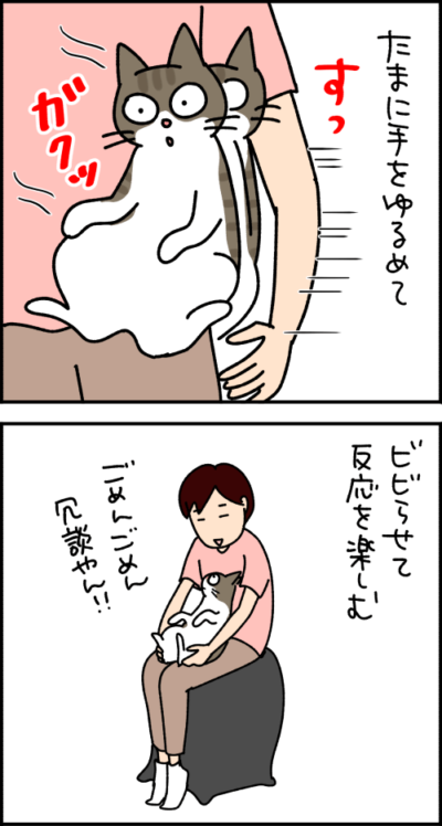 猫漫画