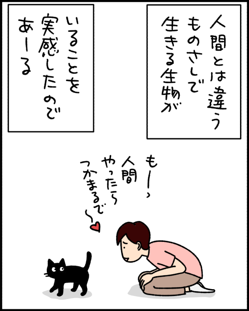 猫漫画