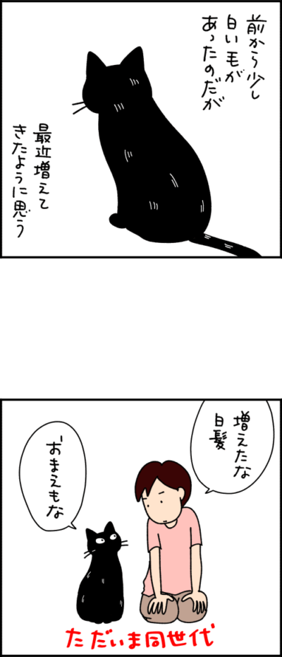 ねこ漫画