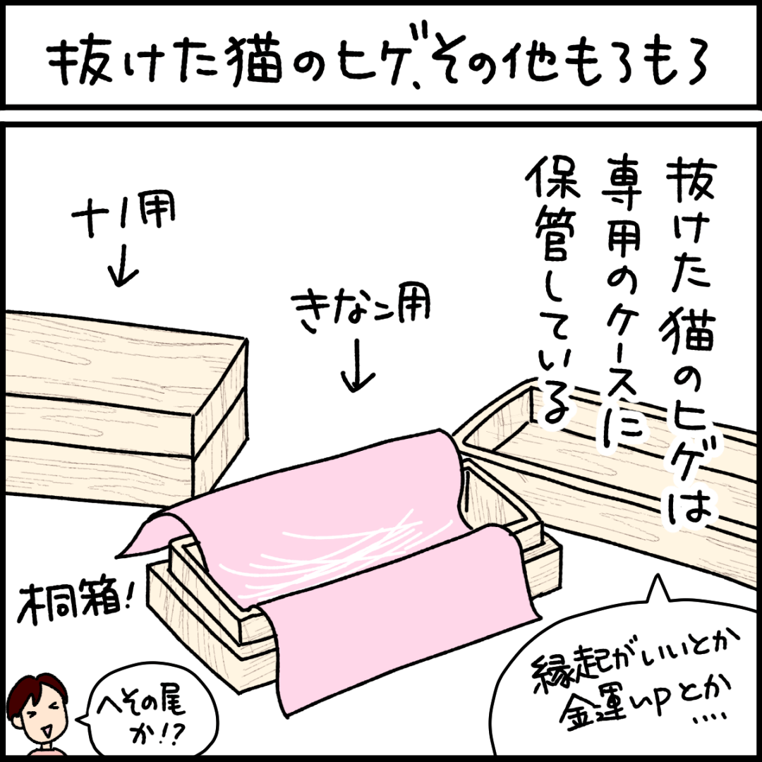 猫漫画