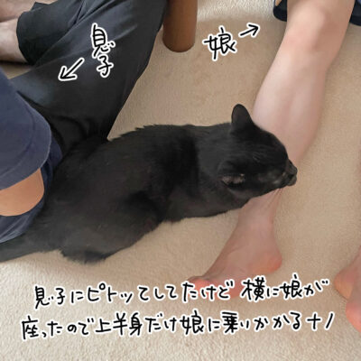 黒猫