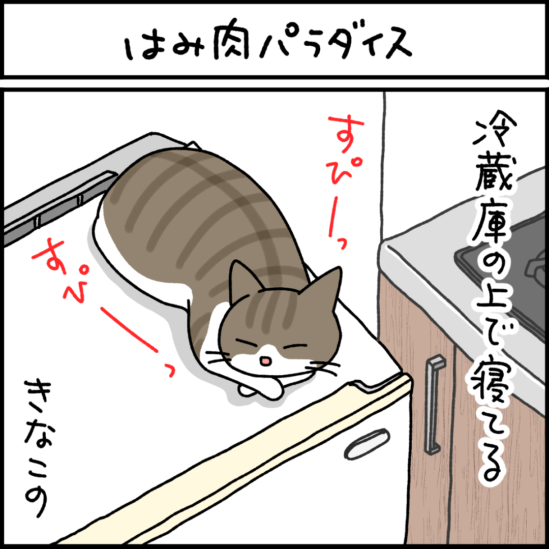 ねこ漫画