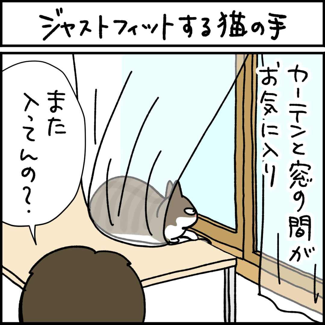 猫漫画