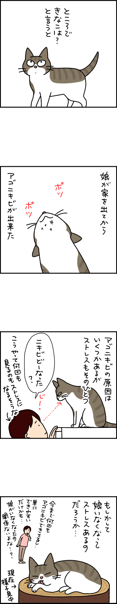 猫漫画