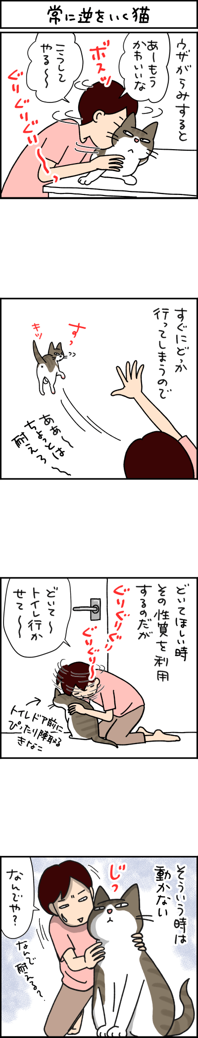 猫漫画