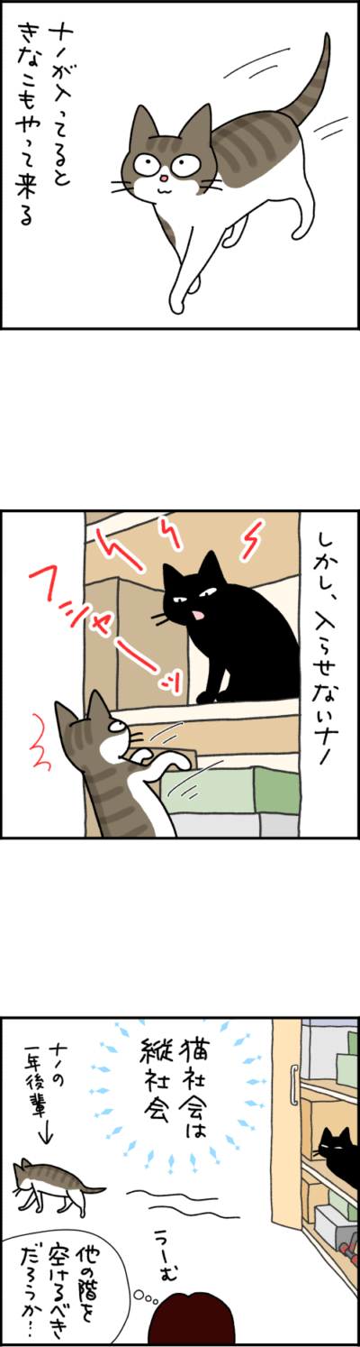 ねこ漫画