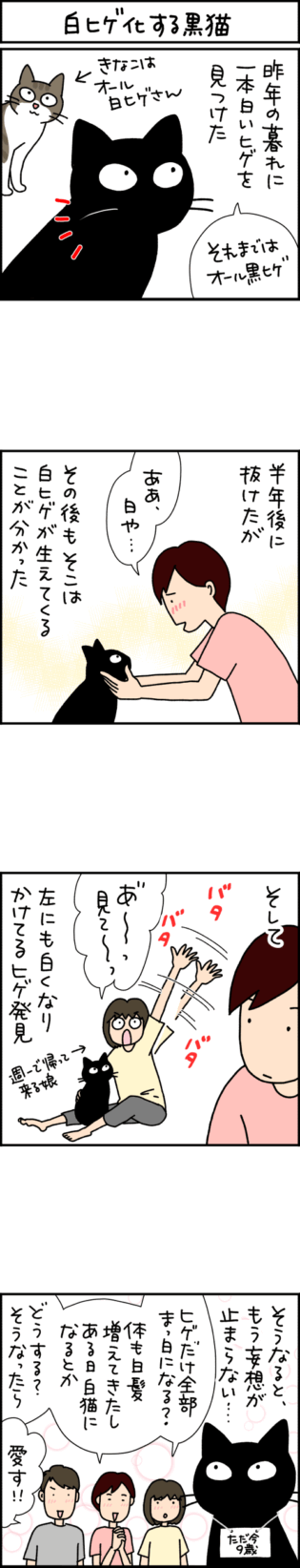 猫漫画