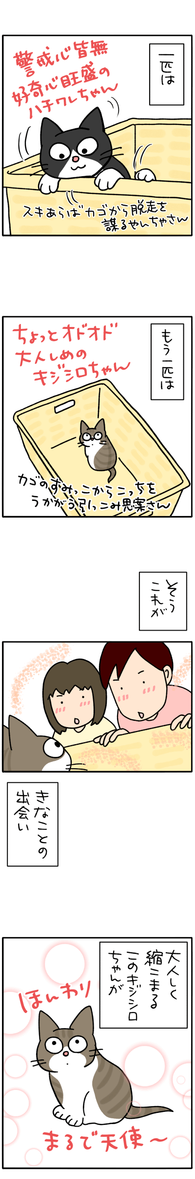 ねこ漫画