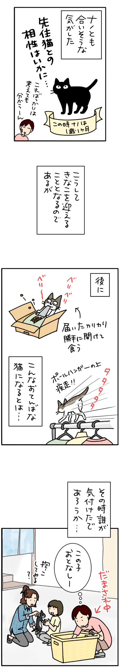 ねこ漫画