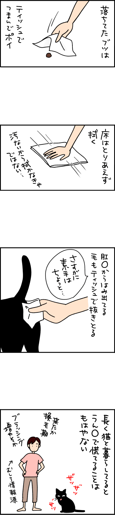 ねこ漫画エッセイ