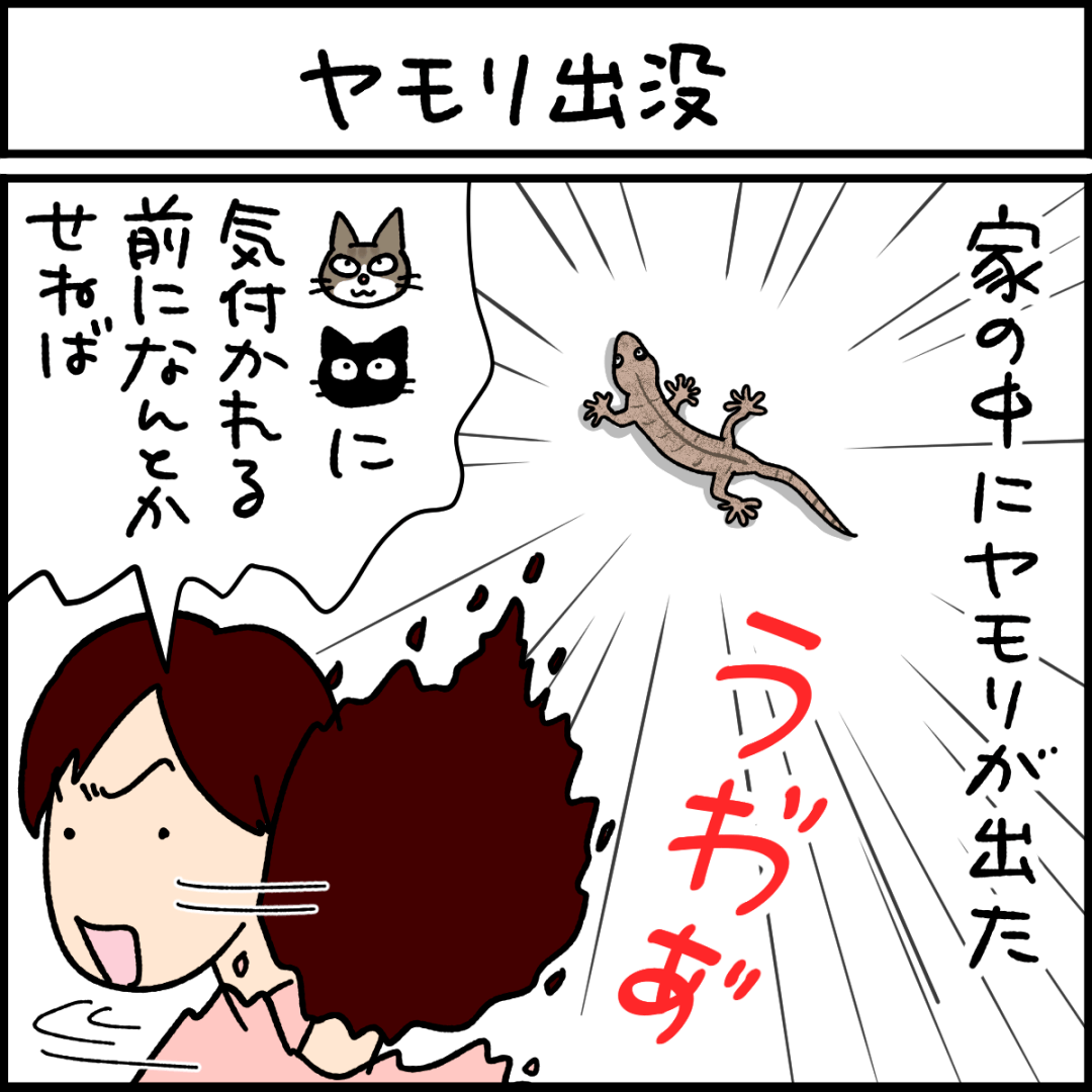 猫漫画