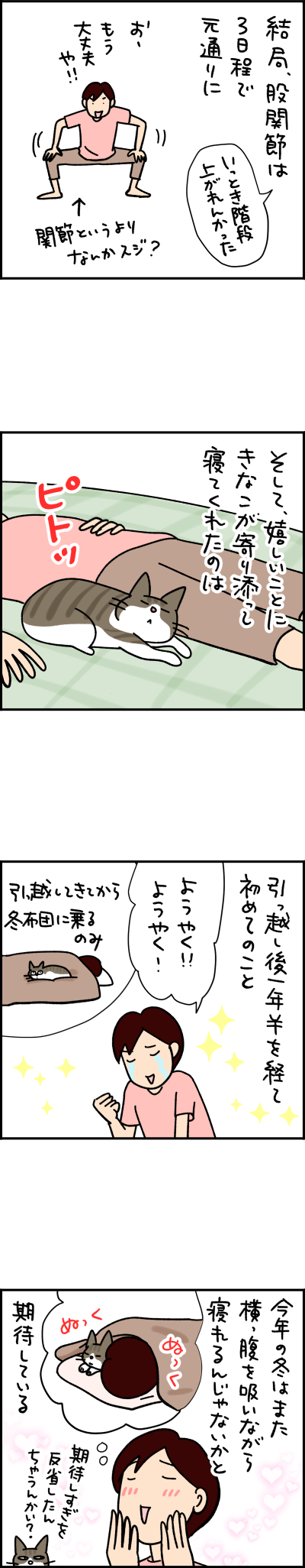 猫の漫画