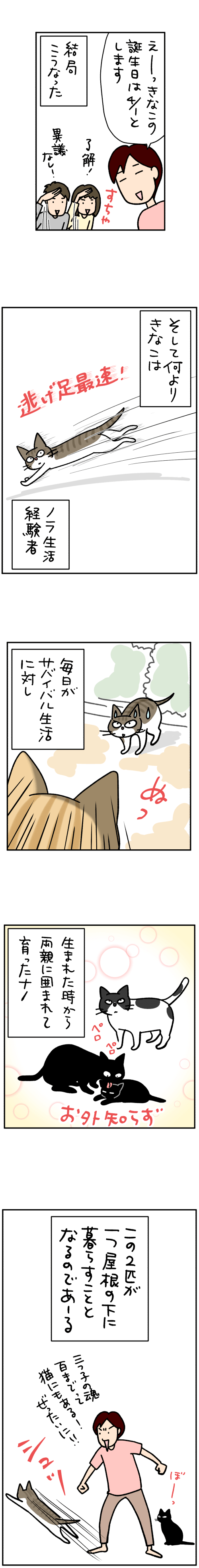 ねこ漫画