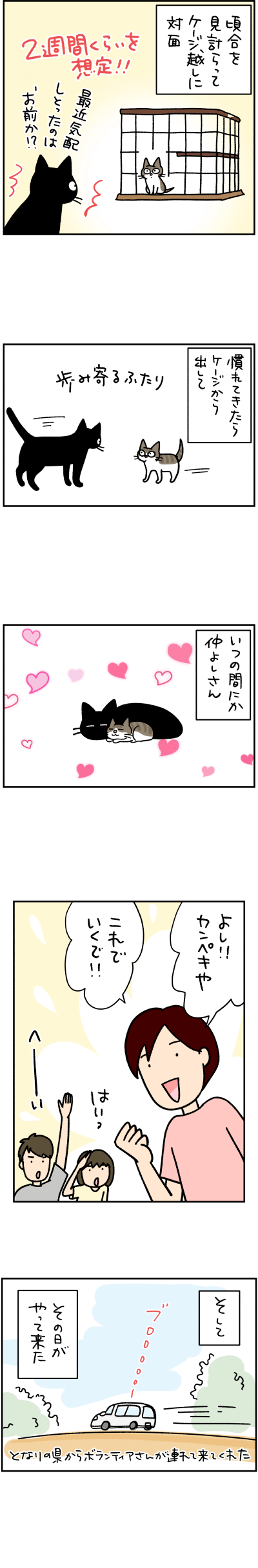 ねこ漫画