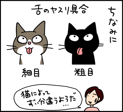 ねこ漫画