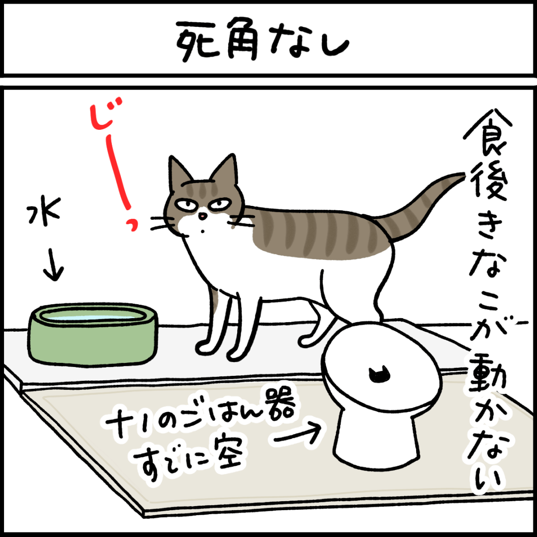 猫漫画