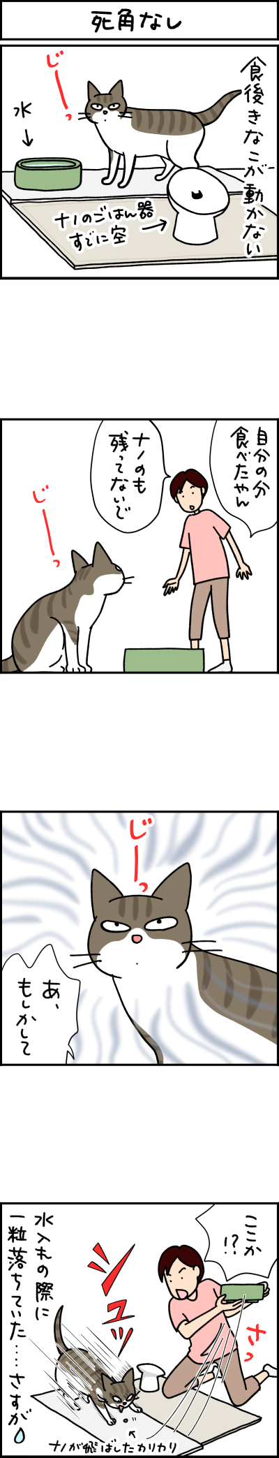 猫漫画