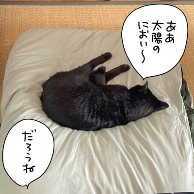 猫漫画