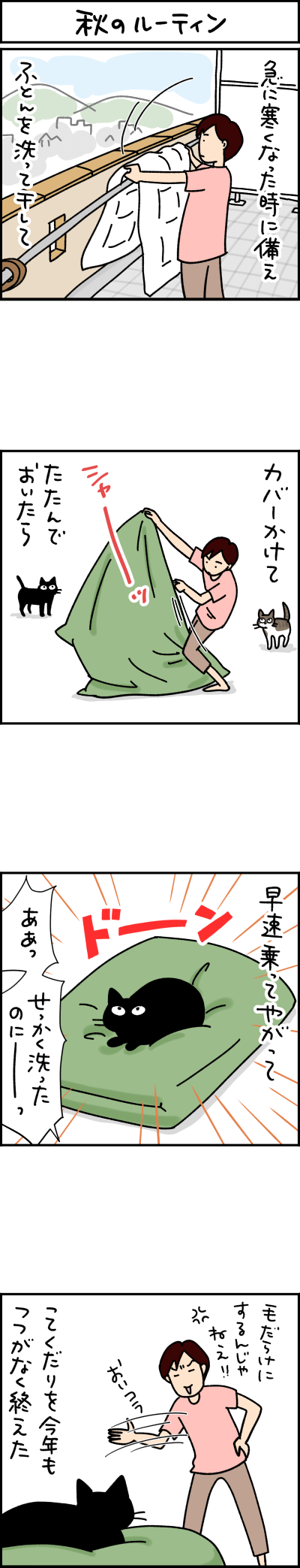 黒猫の漫画