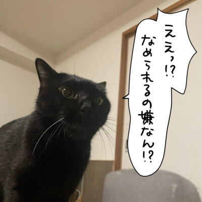 黒猫の呟き 