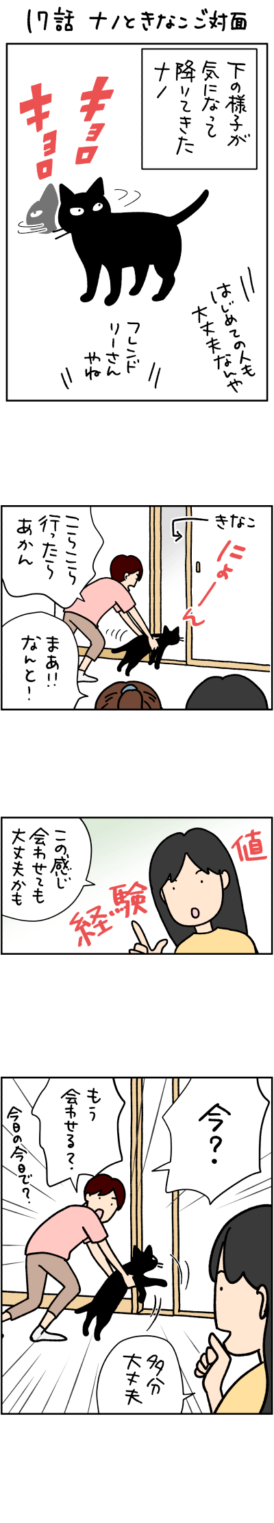 猫漫画