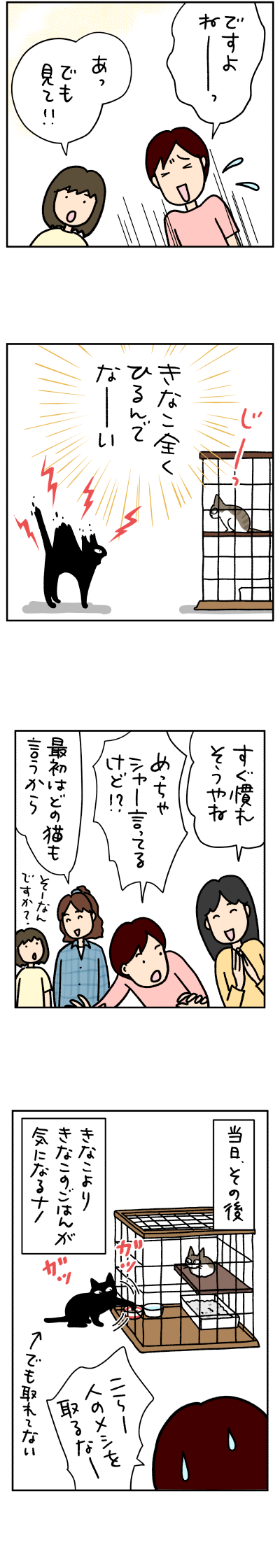 猫漫画