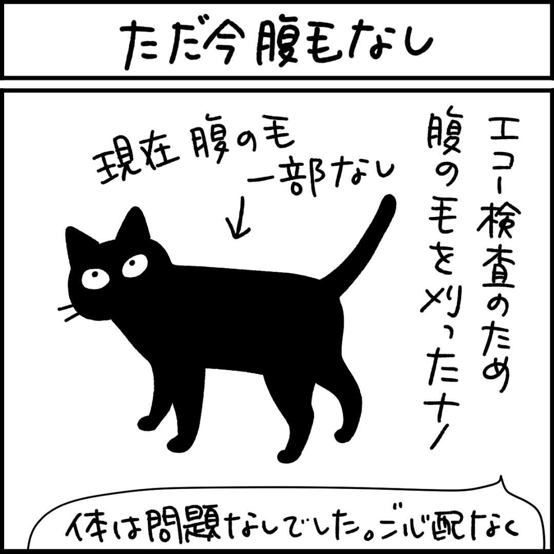 ねこ漫画