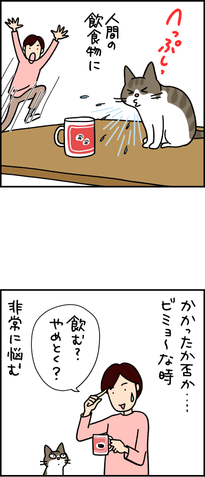 ねこ漫画