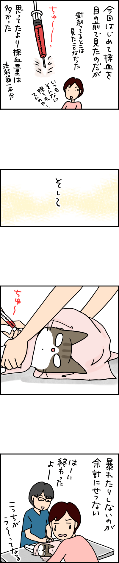 猫漫画