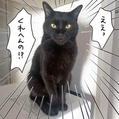 黒猫ナノ