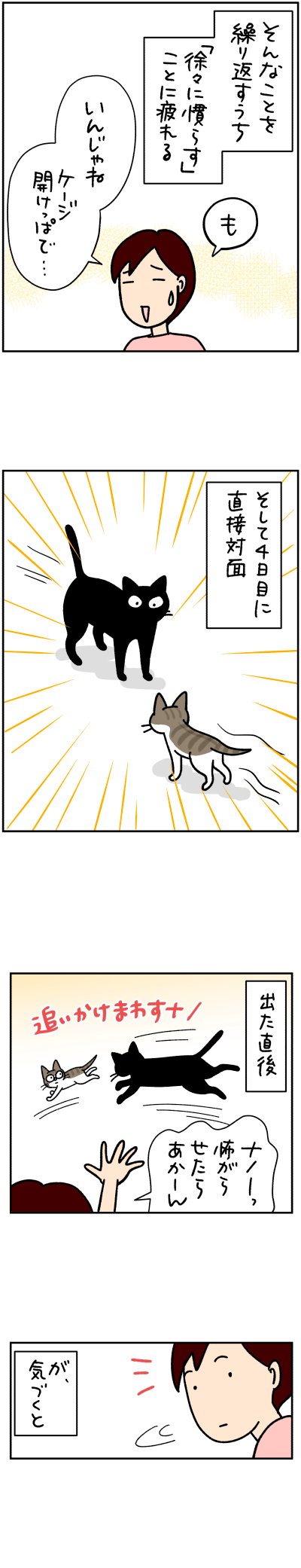 猫漫画