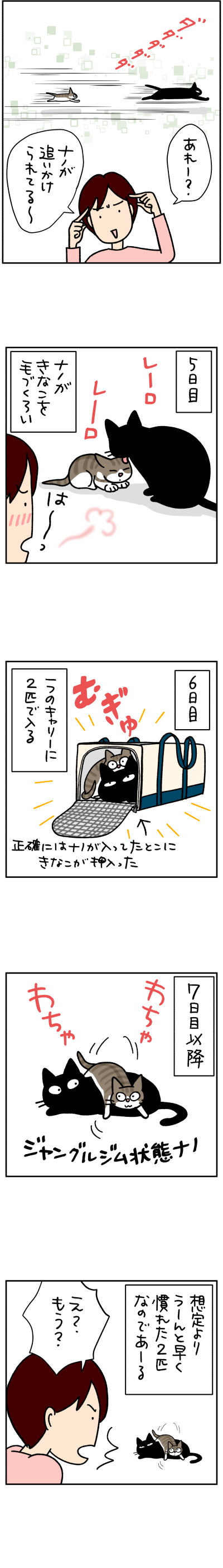 猫漫画