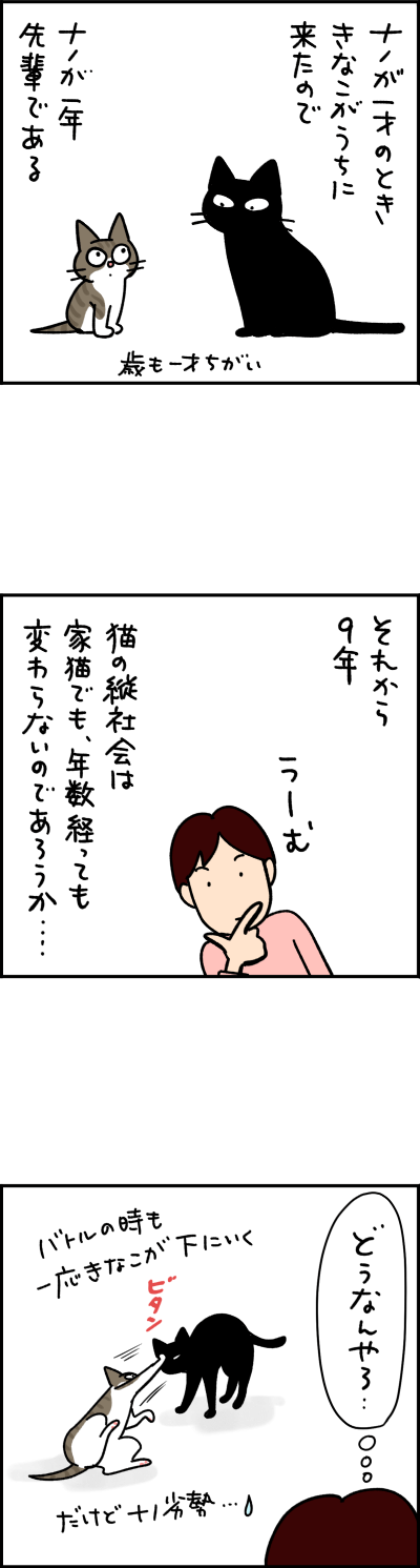 猫漫画