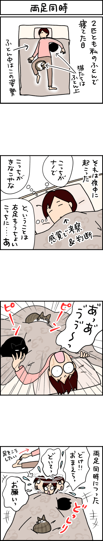 ねこ漫画