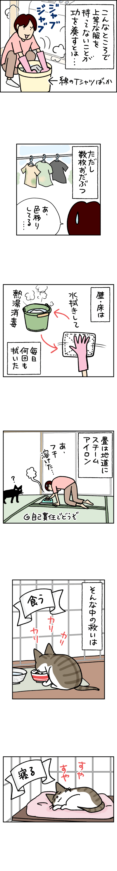 猫漫画