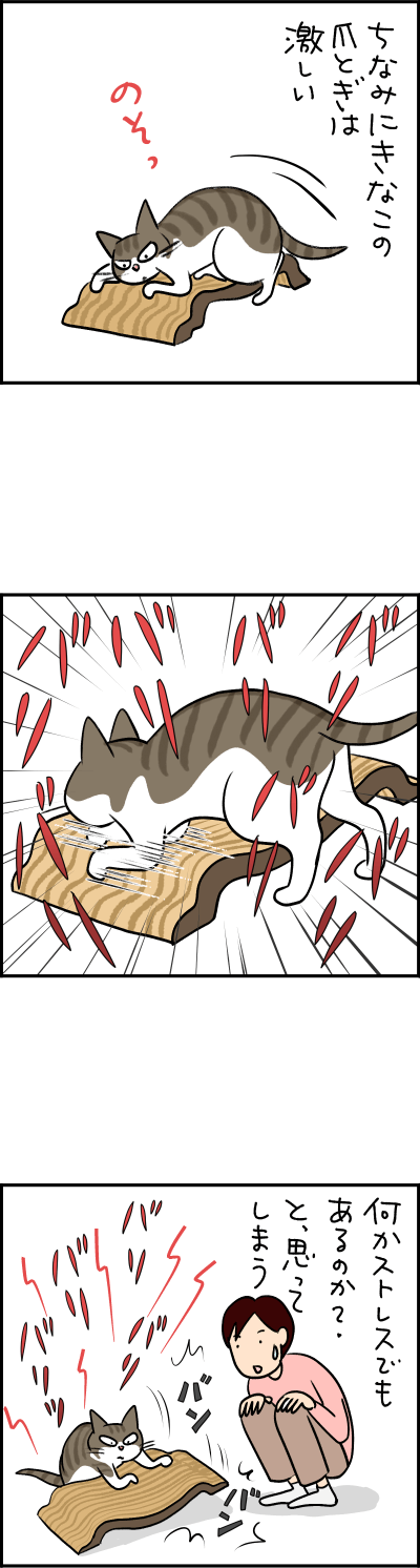猫漫画