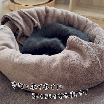 ホイホイされるナノ