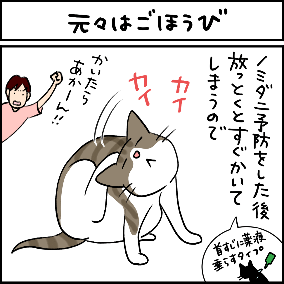 ねこ漫画