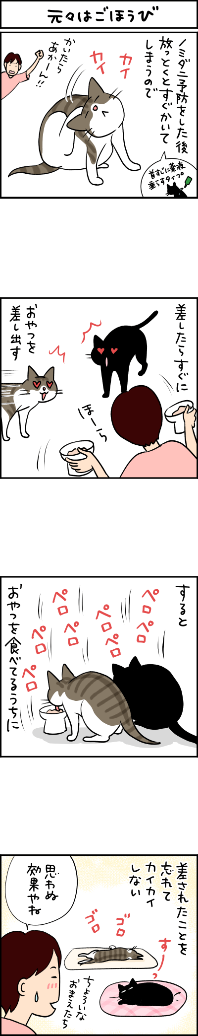 猫漫画